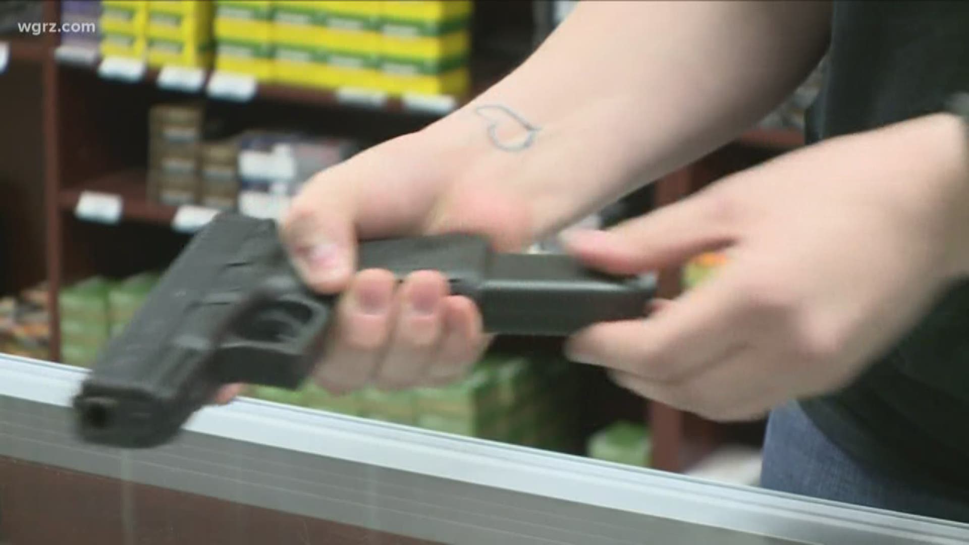 Gun rights debate takes place in West Seneca
