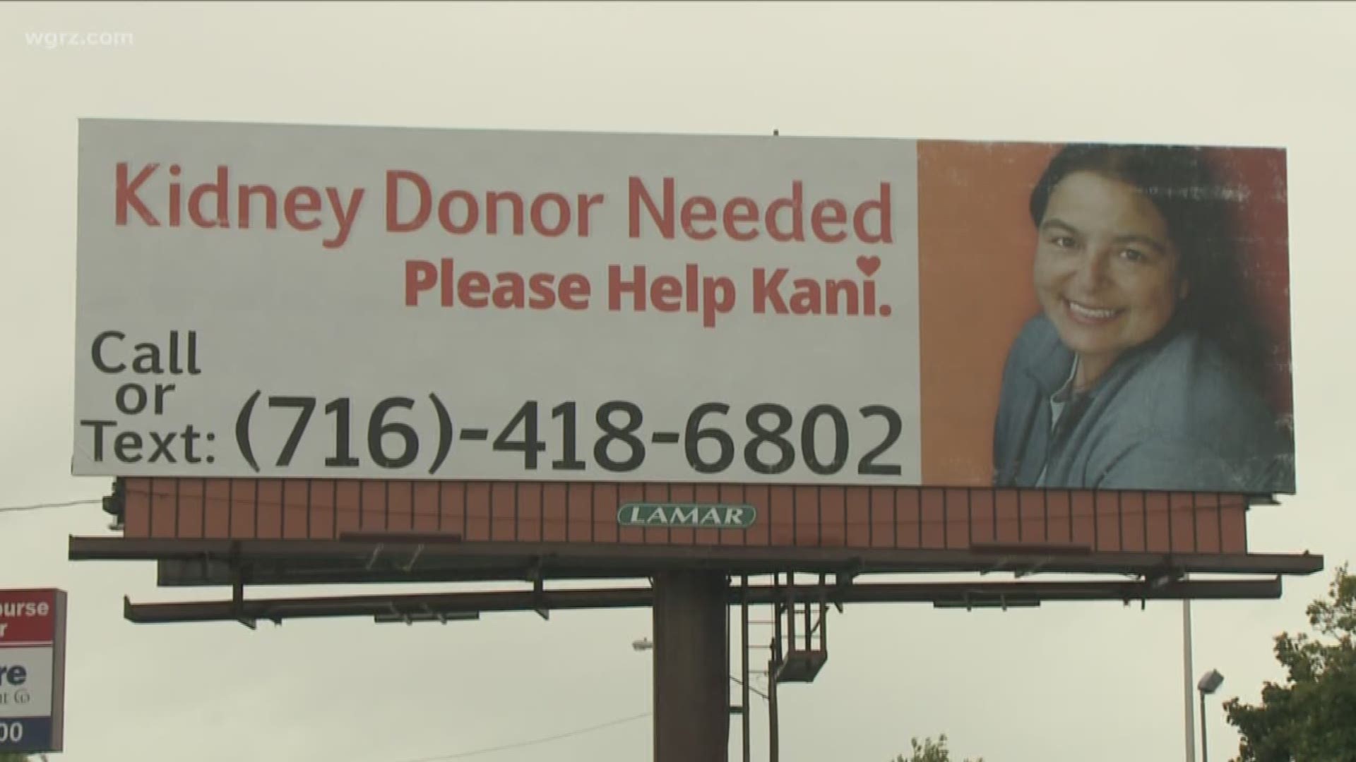 A Lockport woman is in need of a kidney donation, and she hopes a billboard will draw attention to her cause.