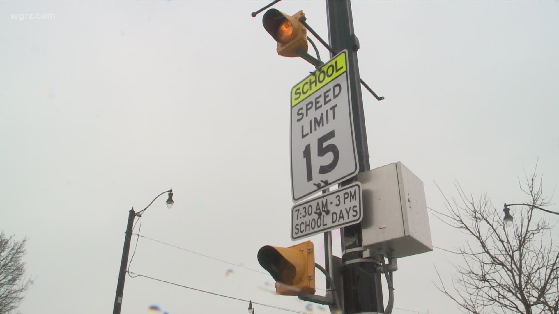 Buffalo's parking commissioner, who also spearheads the city's controversial "school zone speed camera" program, appeared before the common council today.