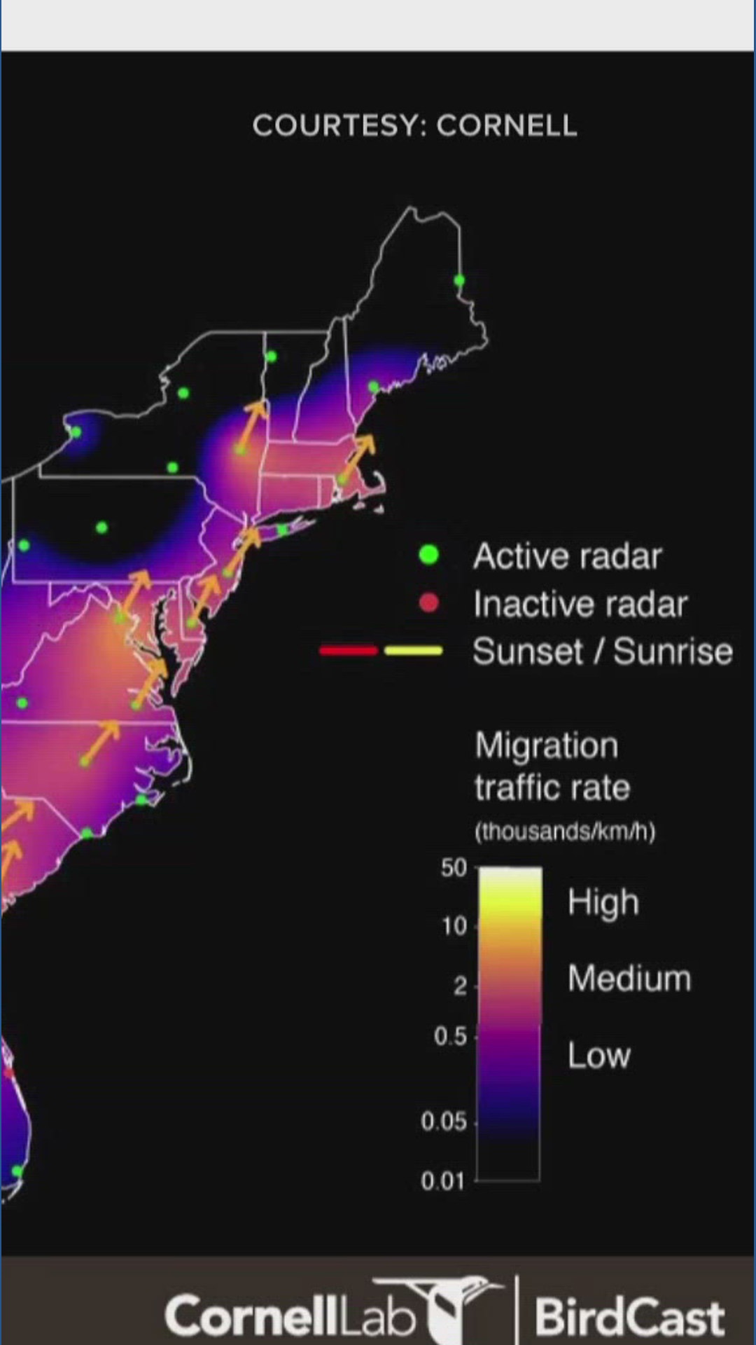 Cornell's BirdCast map shows bird migration activity | wgrz.com