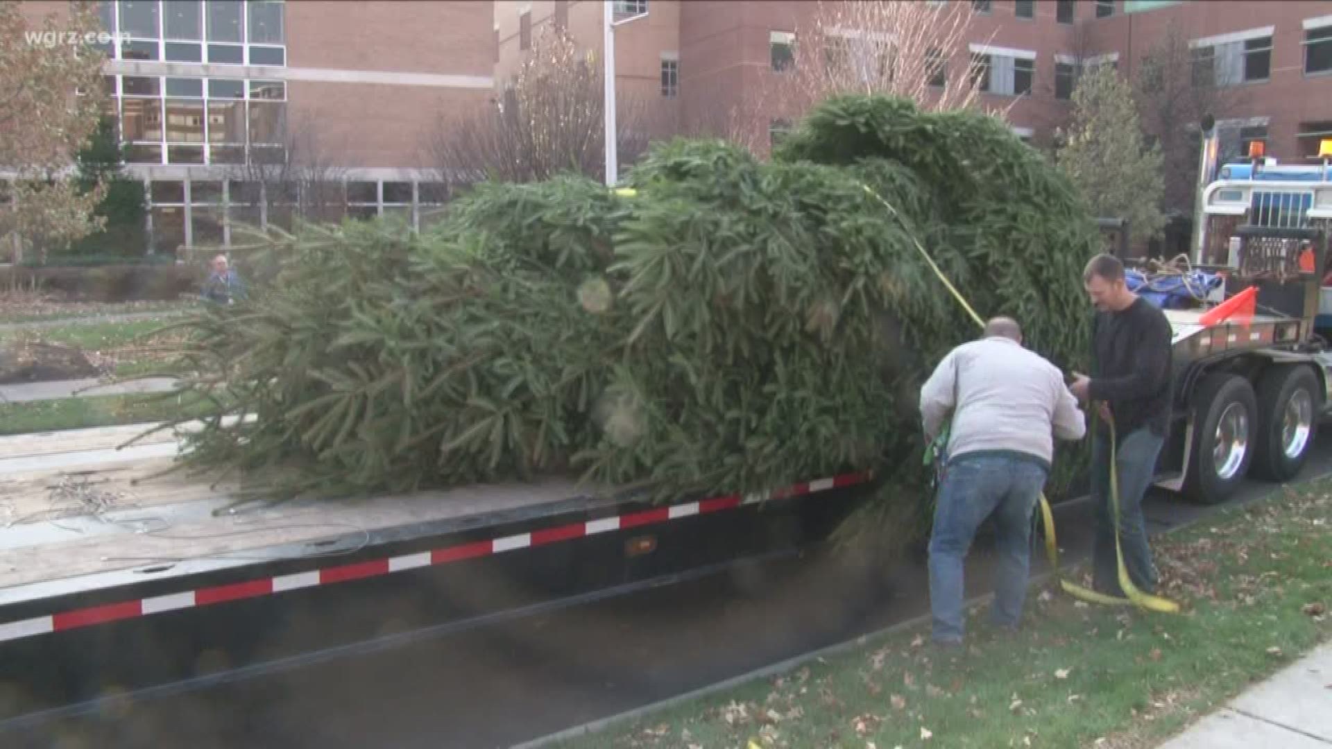 A Big Addition To The Tree Of Hope Ceremony