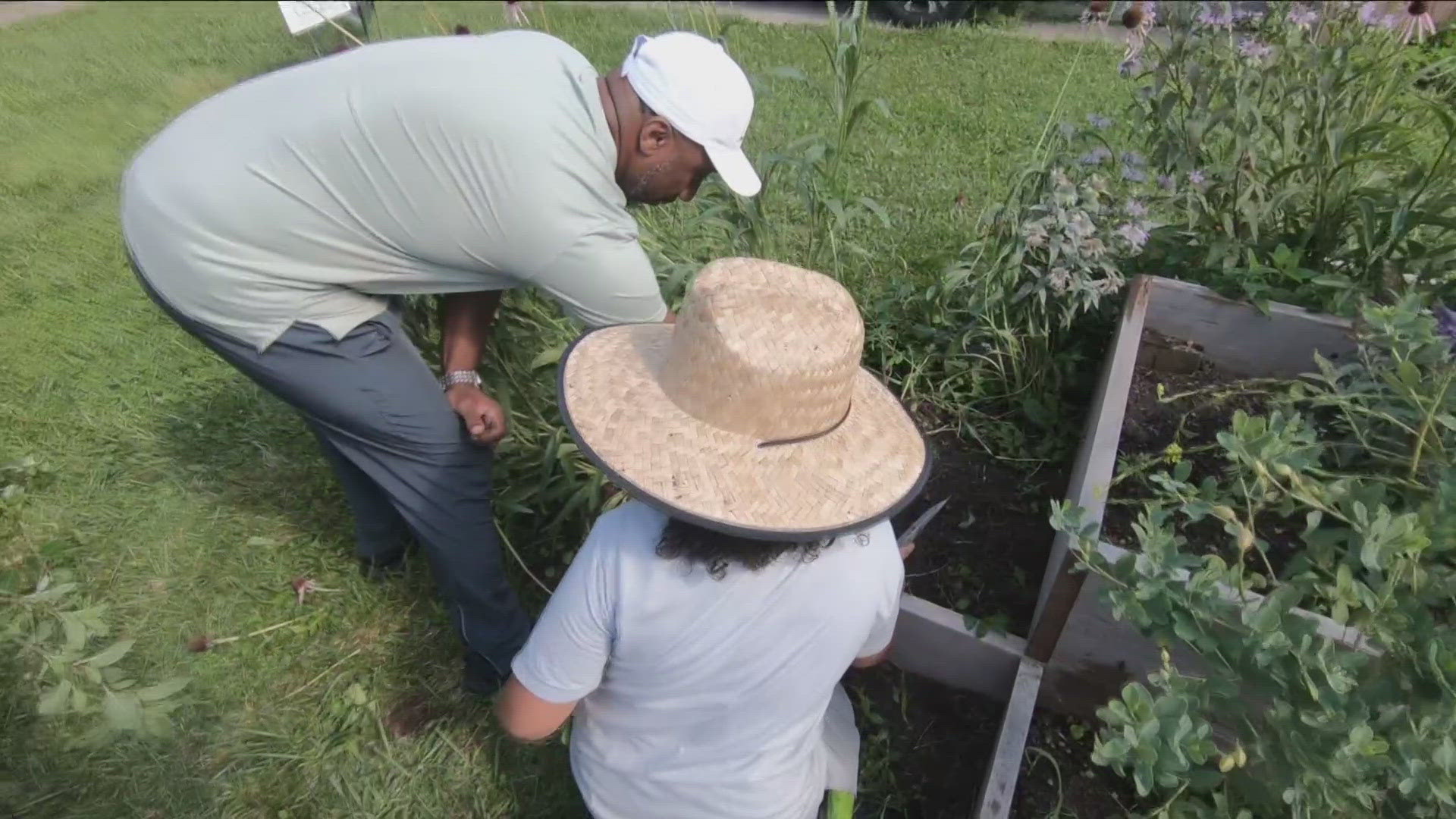 Selfless Among Us: Gardening for a purpose on Buffalo's east side 7/25/24