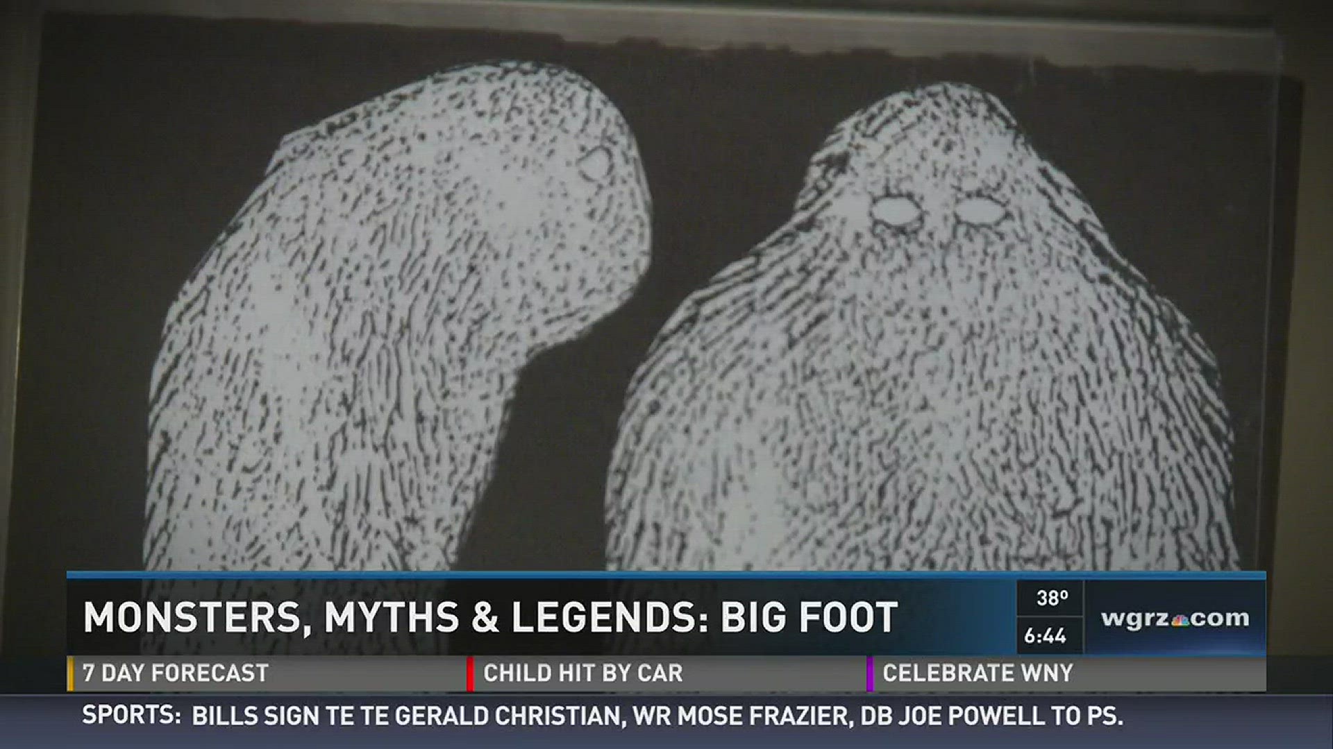 Daybreak's Pete Gallivan brings us the Unknown Story of Sasquatch in WNY.