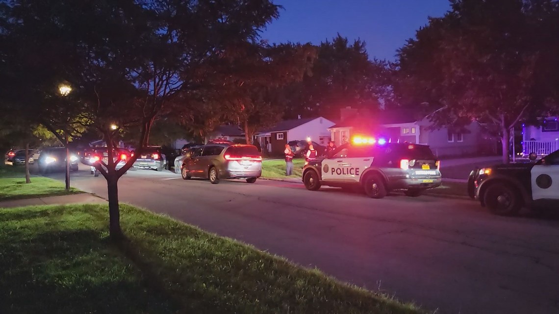 Stolen vehicle arrests | wgrz.com