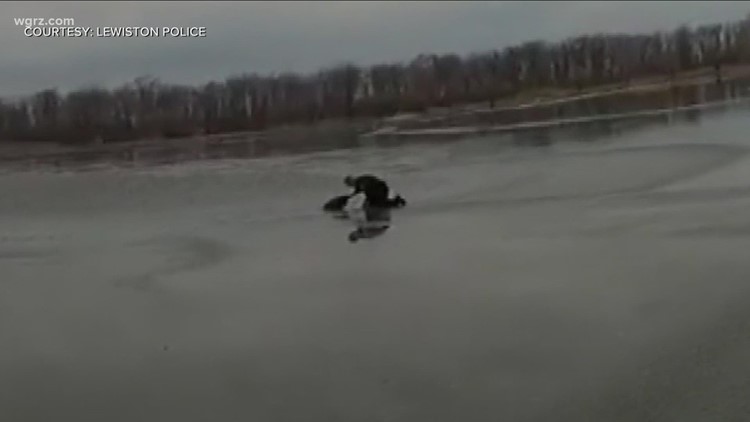 Lewiston Police officer rescues dog from Bond Lake