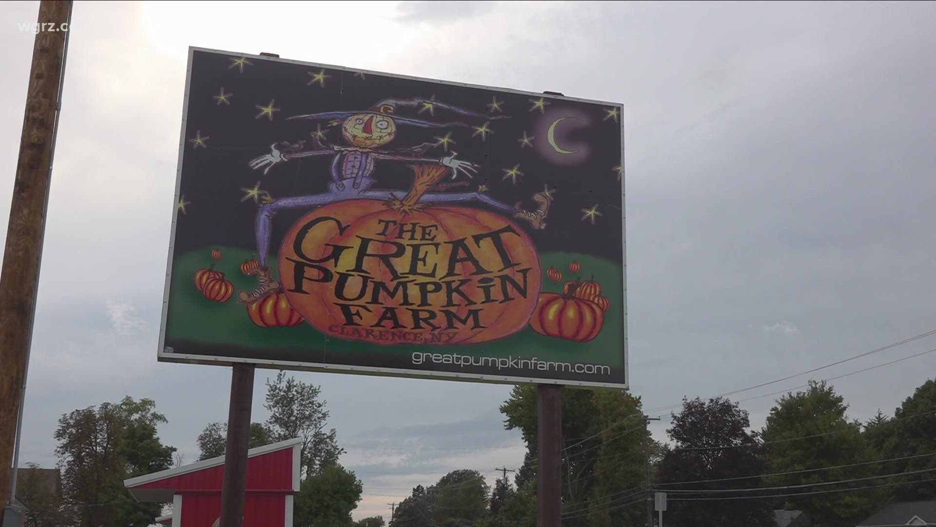 The fall festival in Clarence is ready to welcome back Western New Yorkers.
