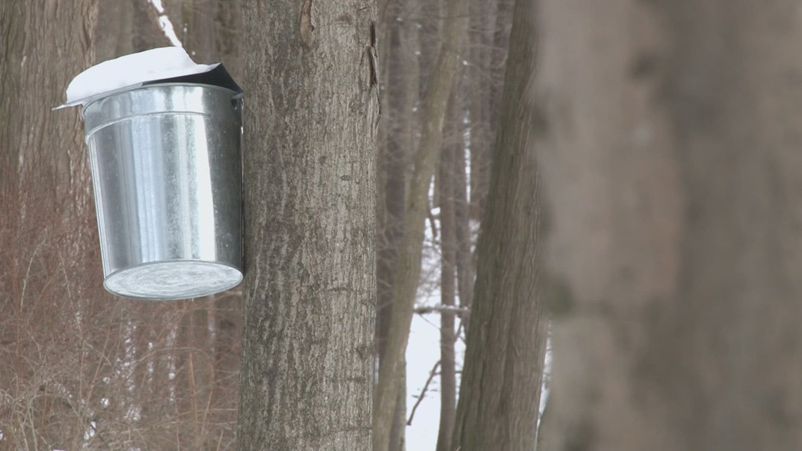 Maple Weekend draws crowds across New York despite less‑than‑ideal weather