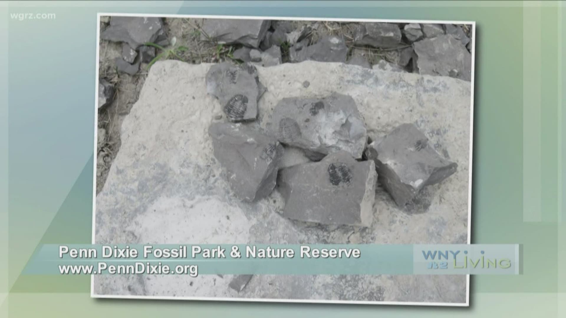 August 10 - Penn Dixie Fossil Park & Nature Reserve