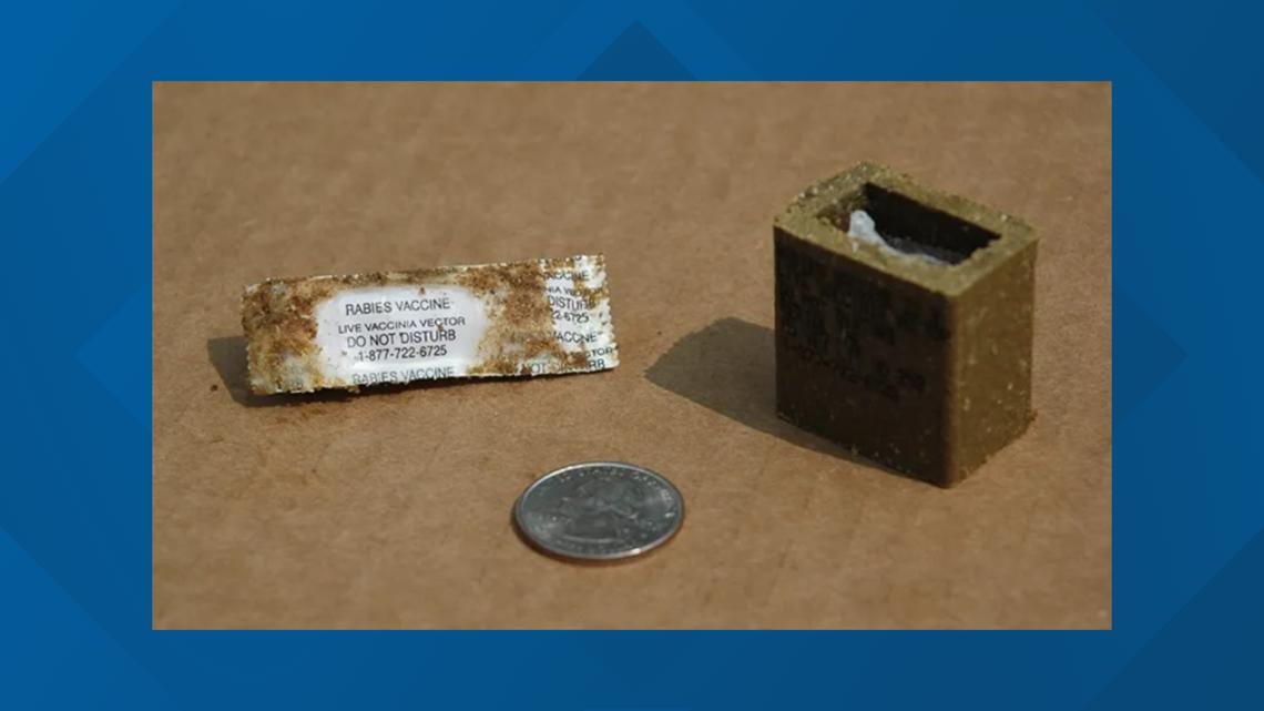 Rabies prevention bait will be airdropped in northern Chautauqua County starting May 18