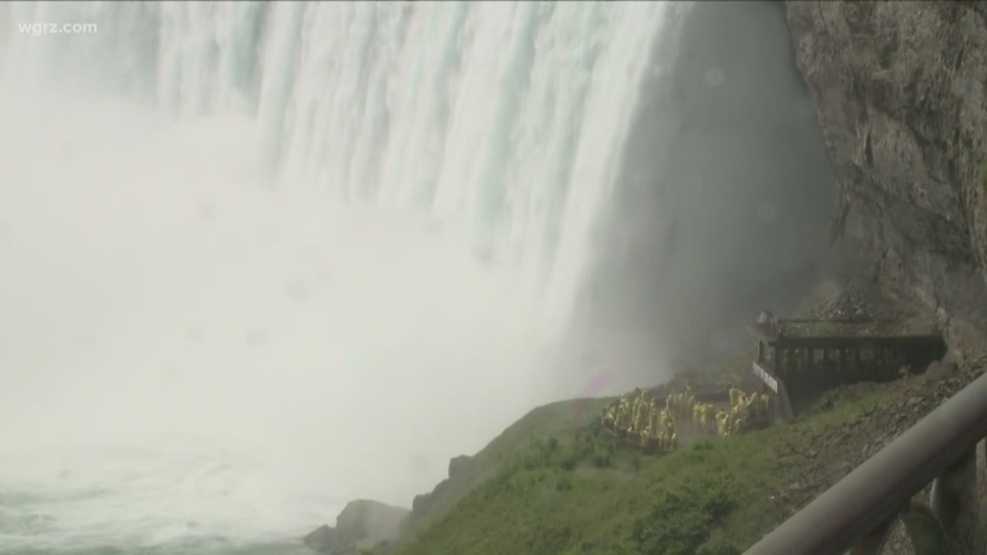 Man survives plunge over Niagara Falls