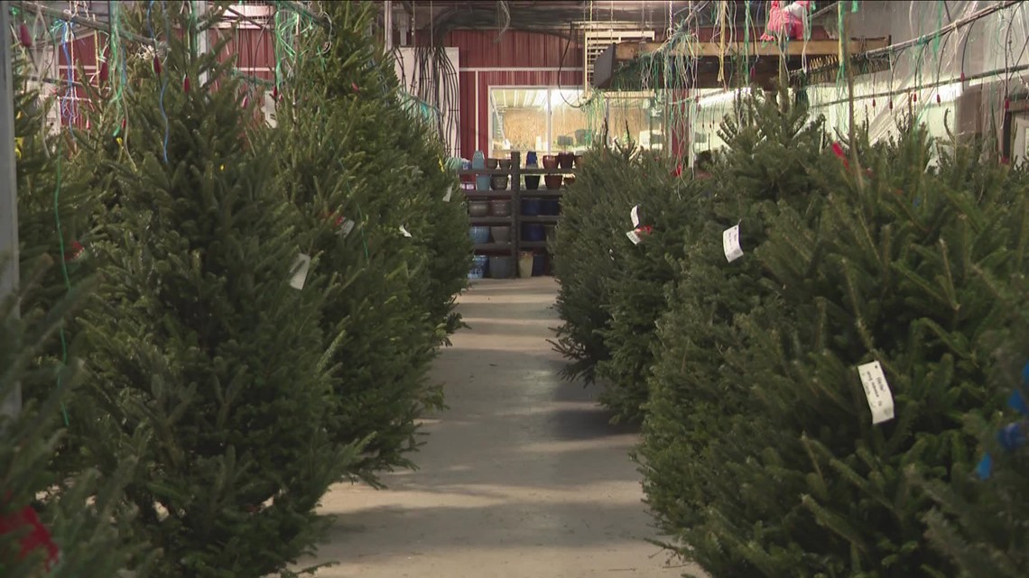 Christmas tree demand and prices rise nationwide