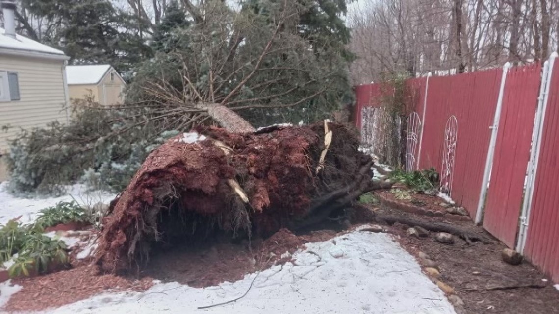 Western New York residents dealing with fallen trees after windstorm - Vimarsana News