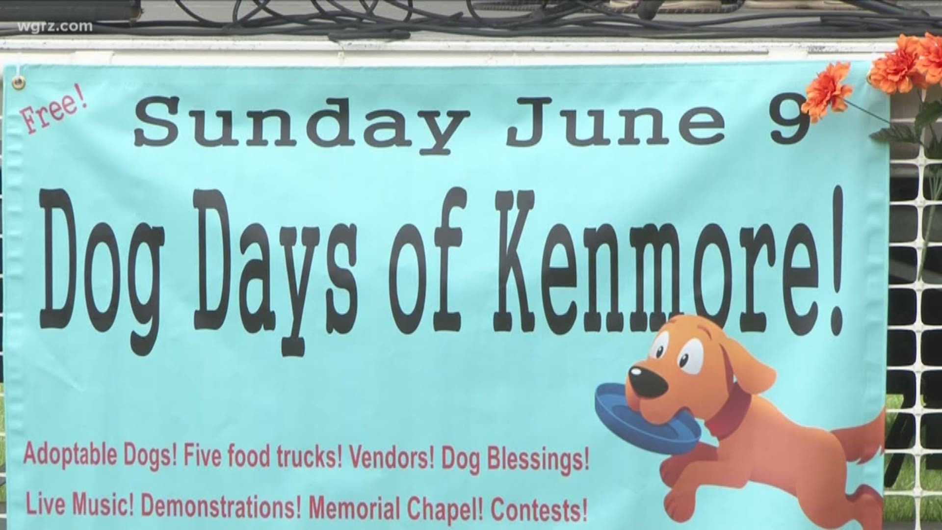 The dog days of Kenmore. The family-friendly, free event is for canines and they have dog sports contests. One contest is the person look alike duo.