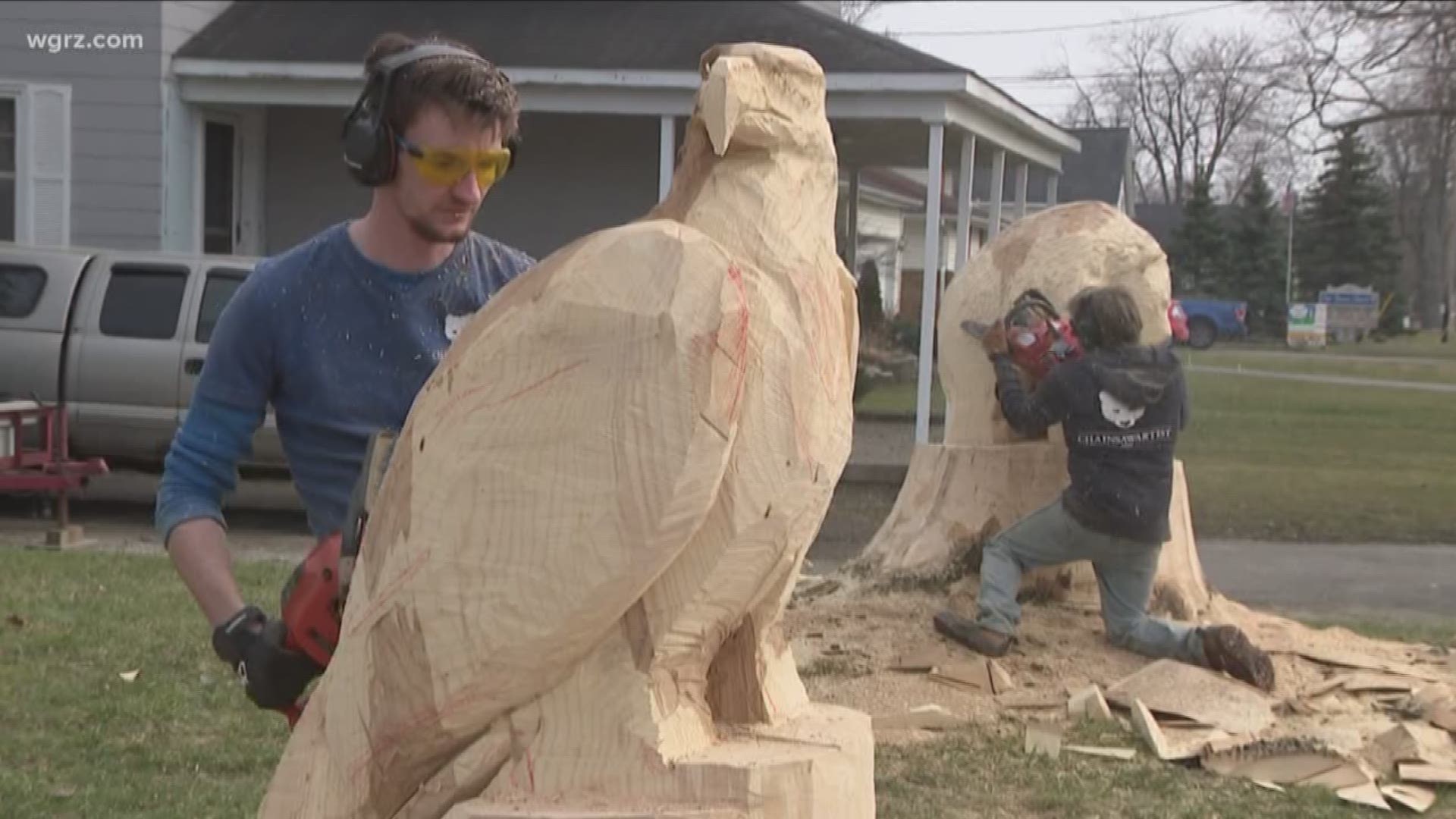 Turning destroyed trees into works of art