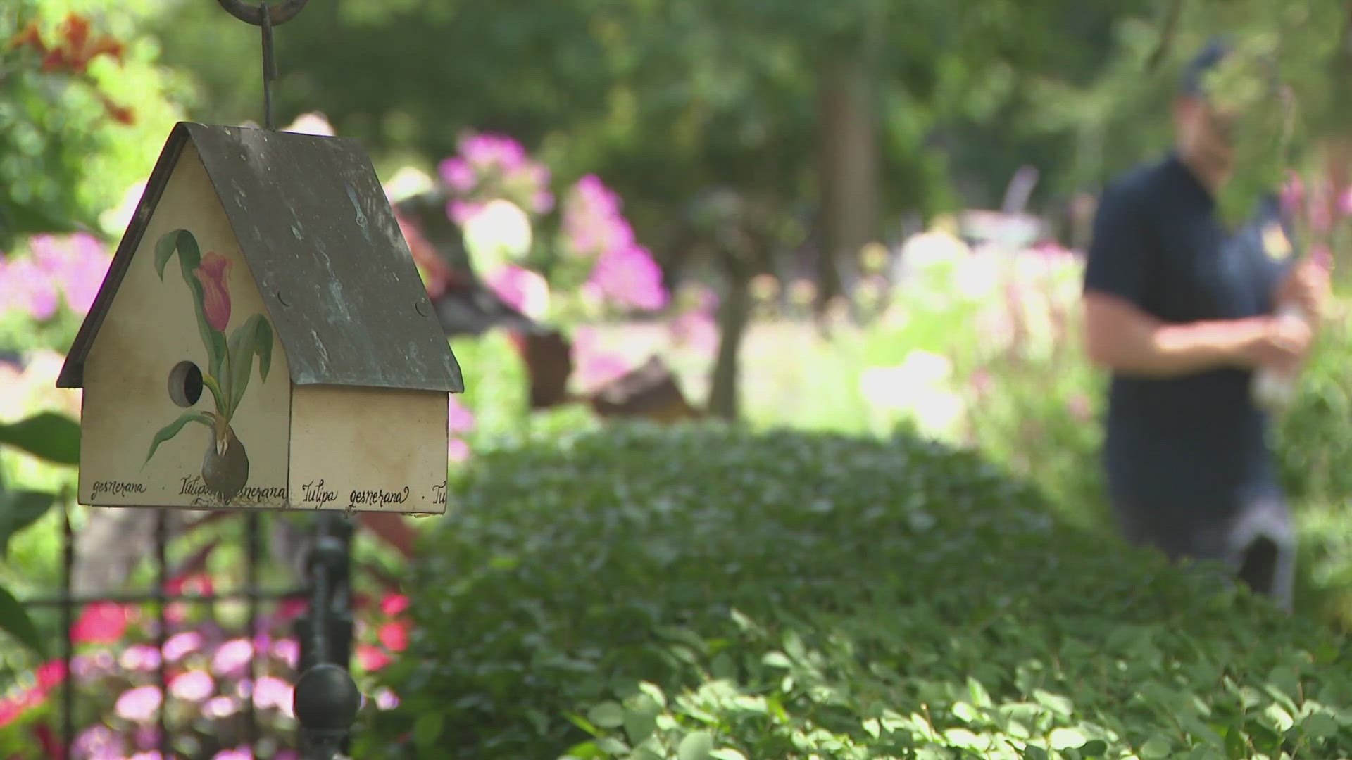Dozens are showing off their gardens all over the City of Buffalo. It's a chance to get inspired, meet your neighbors, and see Buffalo in full bloom.