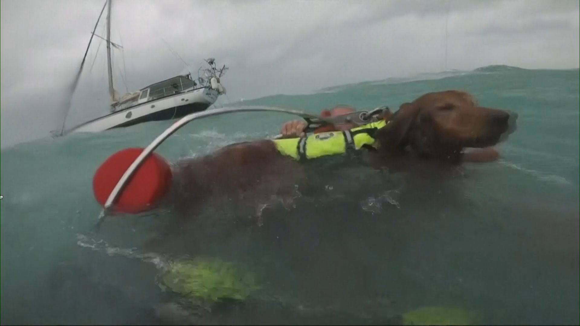 The U.S. Coast Guard saved a man & his dog Thursday after his sailboat became disabled & started taking on water. US Coast Guard//Lt. Cmdr. Scott Kellerman