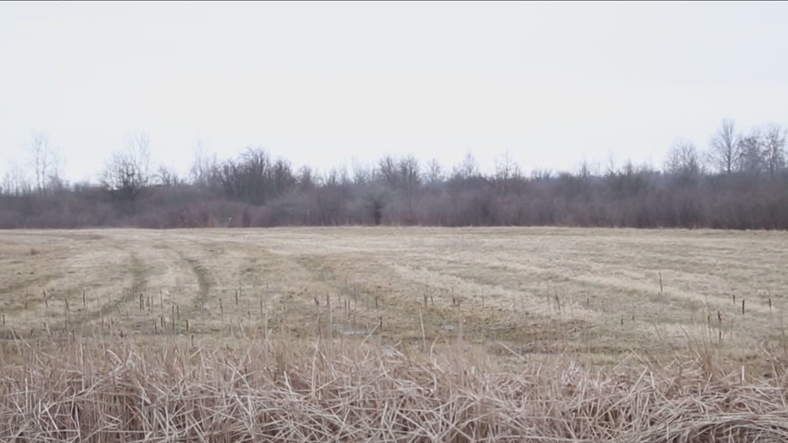 Grand Island project hits potential roadblock