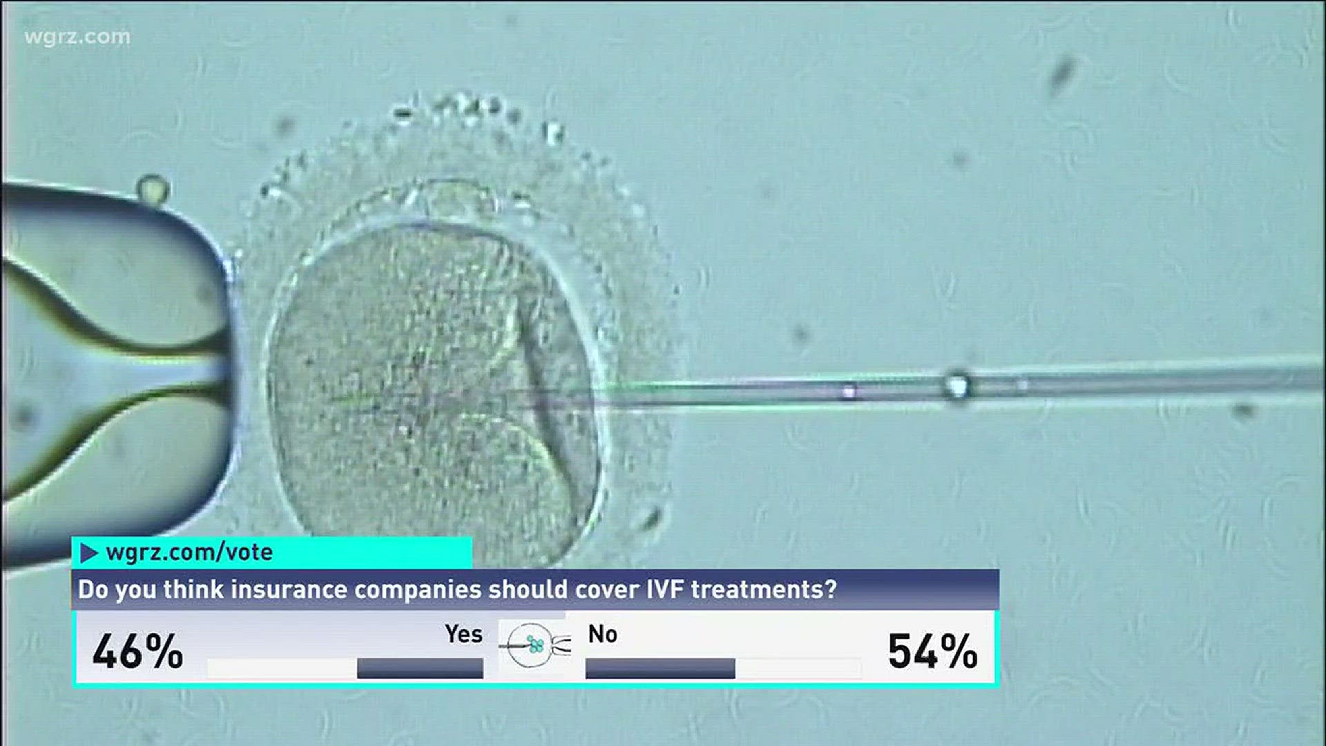 NY eyes coverage for in vitro fertilization
