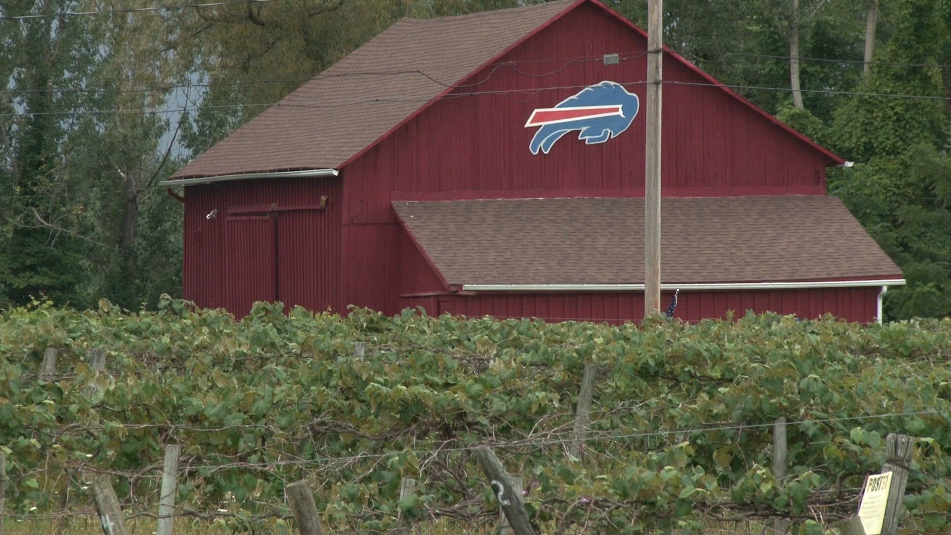 Local winemakers feeling the squeeze as wine sales fall nationally