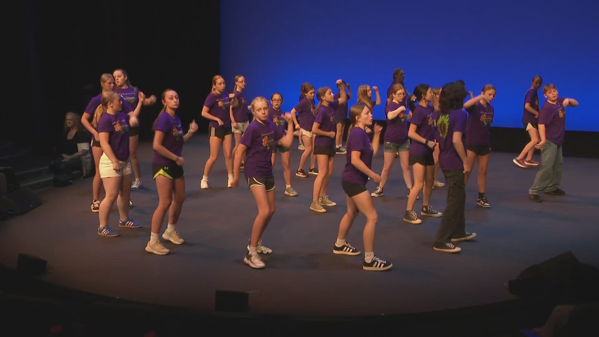 Hundreds of students from 20 local school districts are taking center stage at Shea's this week. Students will perform numbers from their school musicals.
