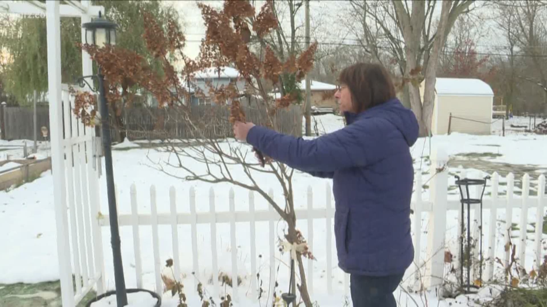 2 On Your Side's gardening expert Jackie Albarella explains how to prepare your plants for the snow and cold.