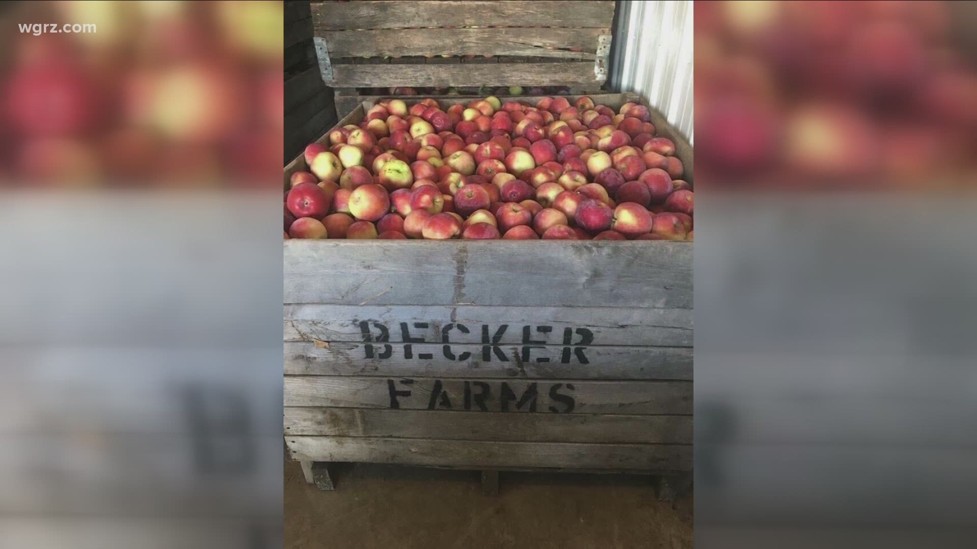 Becker Farms has been a popular autumn destination because if its apples, pumpkins and its educational tours.