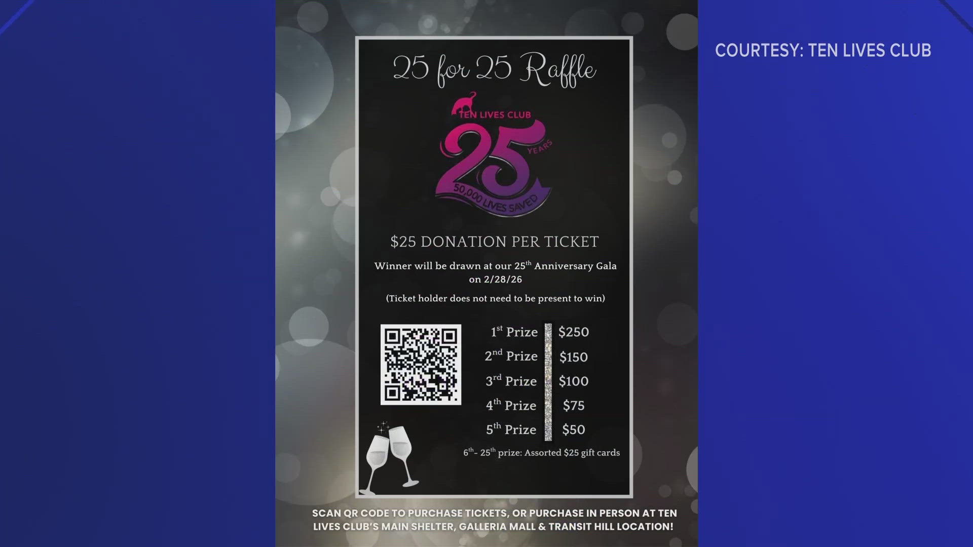 Gala Raffle 10 Lives Club 25th Anniversary Gala raffle | wgrz.com