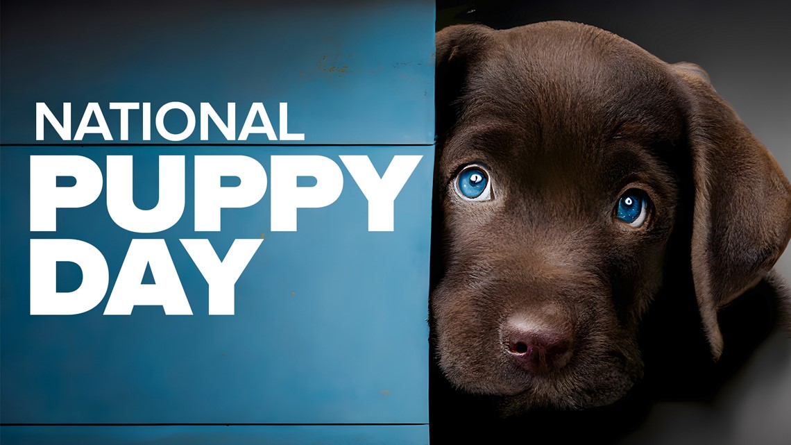 March 23 is National Puppy Day. I mean, for me, every day is National Puppy  Day, and the same goes for most of my frie…