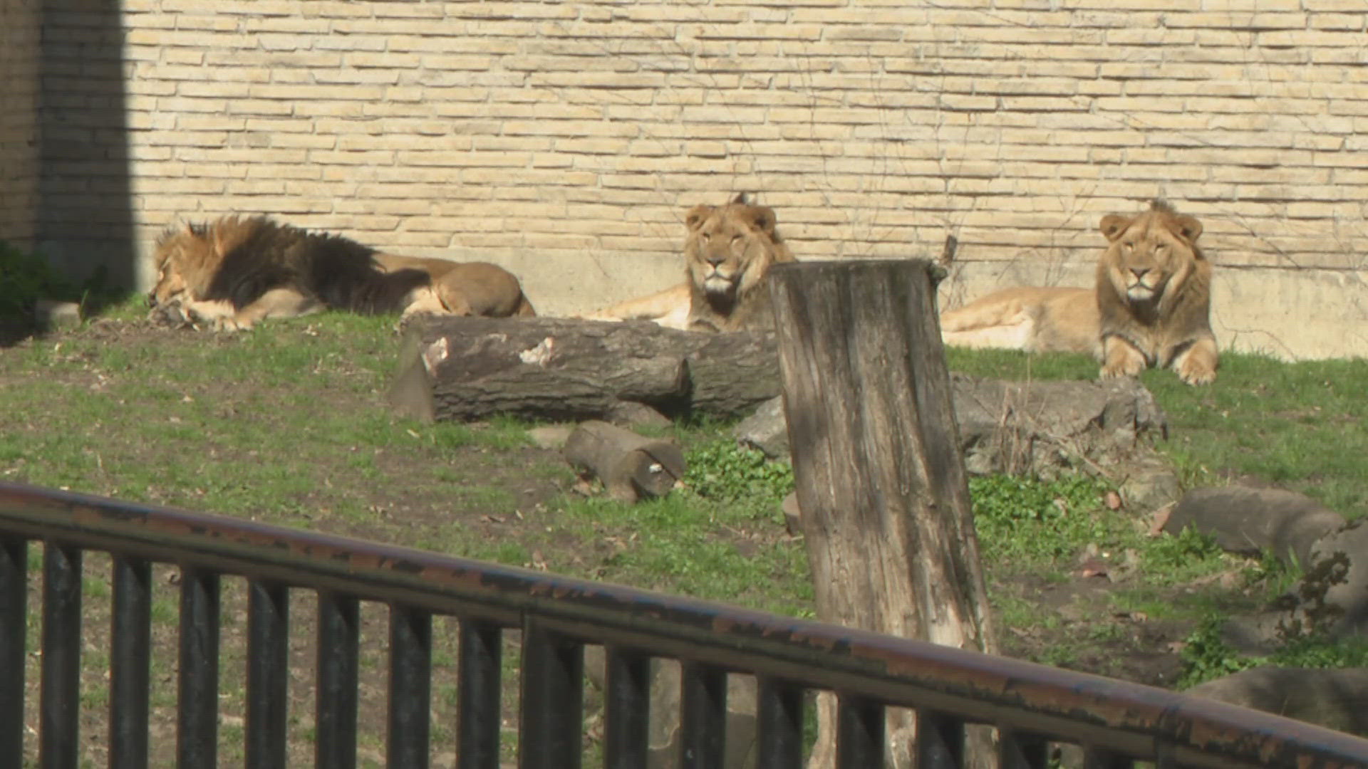 First Third Thursday at Buffalo Zoo sells out