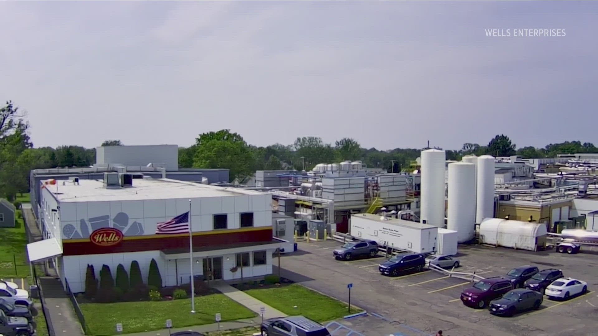 Wells Enterprises is planning to expand its Dunkirk ice cream plant into what it is calling a state-of-the art facility