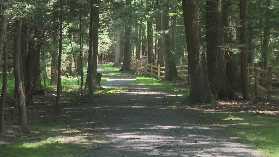 New trail open at Zoar Valley | wgrz.com