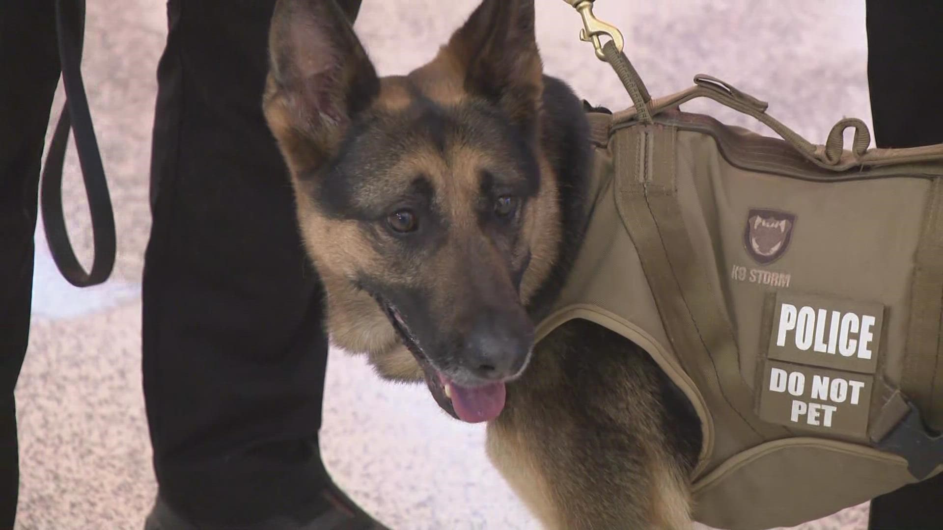 NFTA K-9's looking forward to second Super Bowl appearance pt 2