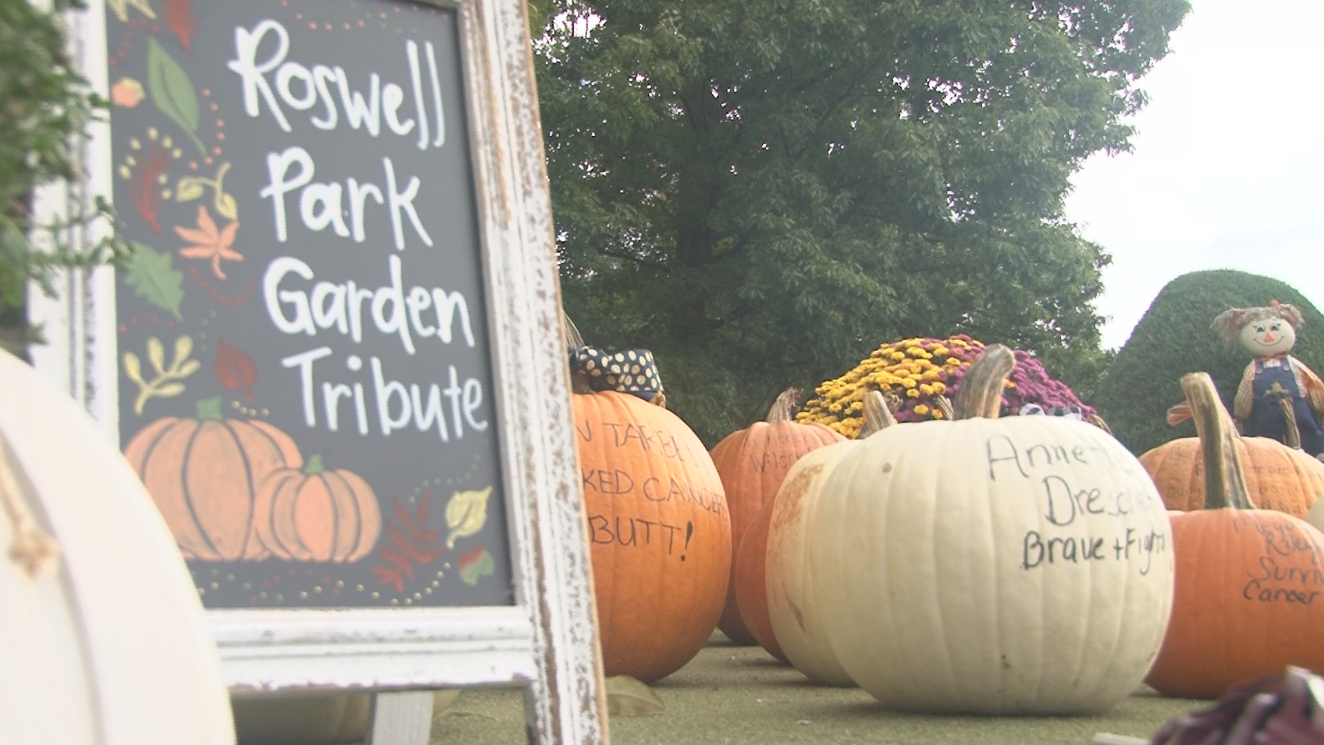 Dave Hubert and his wife, Pam, are collecting personalized pumpkins for their tribute garden for Roswell Park. They're also raising thousands for the Angel Fund.