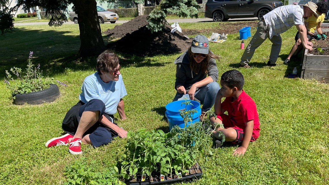 Free community garden hosted in Lackawanna - Vimarsana News