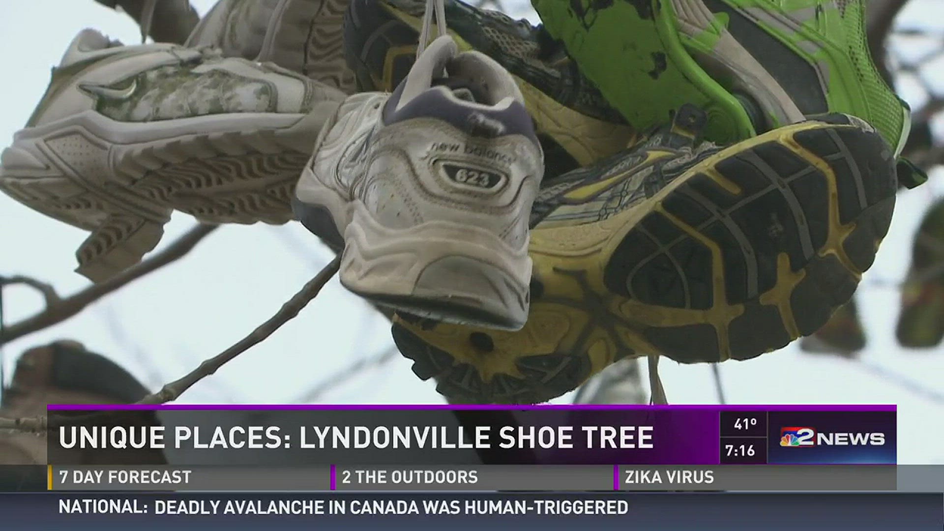 Unique Places: The Lyndonville Shoe Trees | wgrz.com