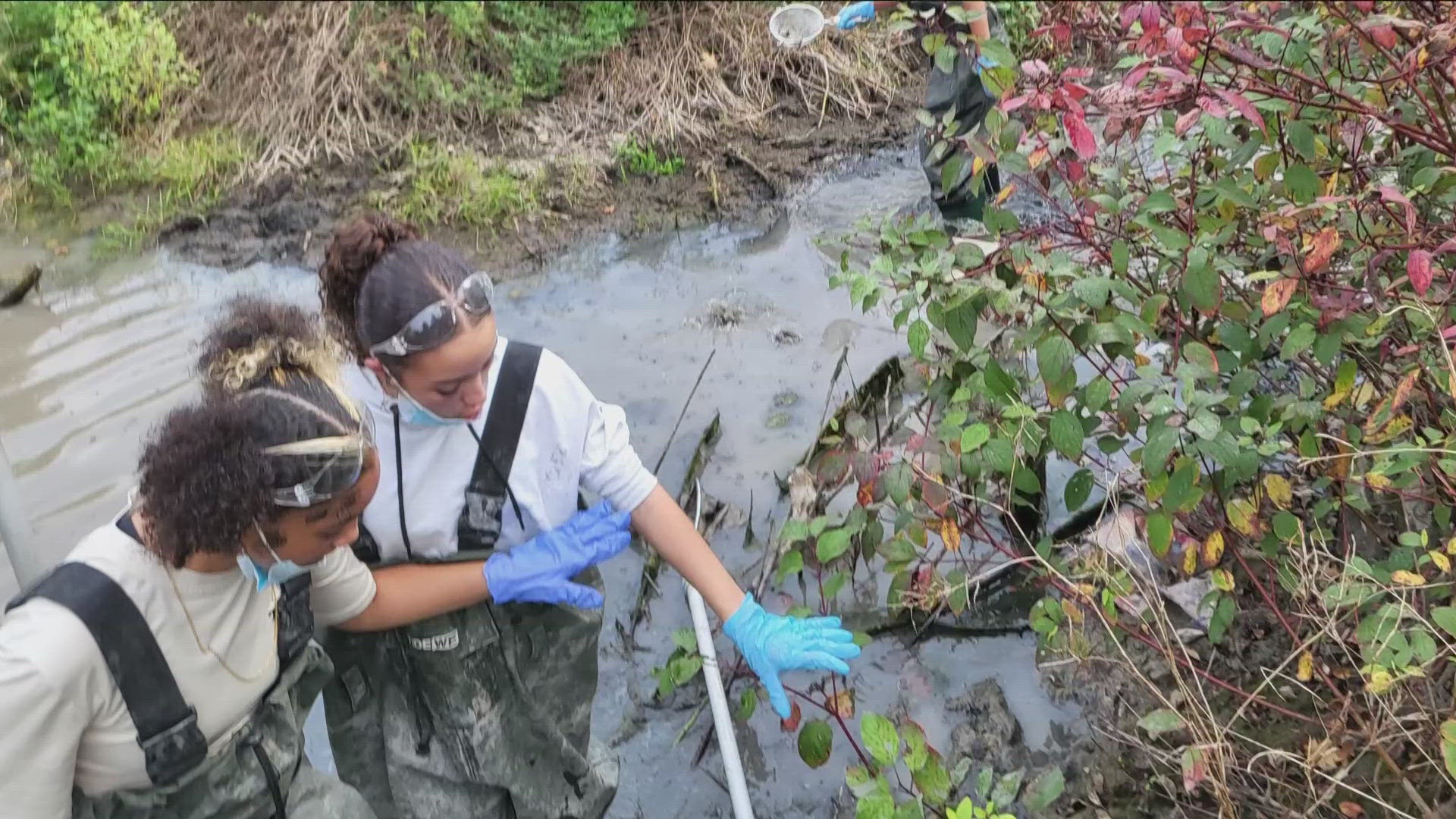 This makes possible for Cheektowaga HS Students to get paid to work with professionals in environmental careers