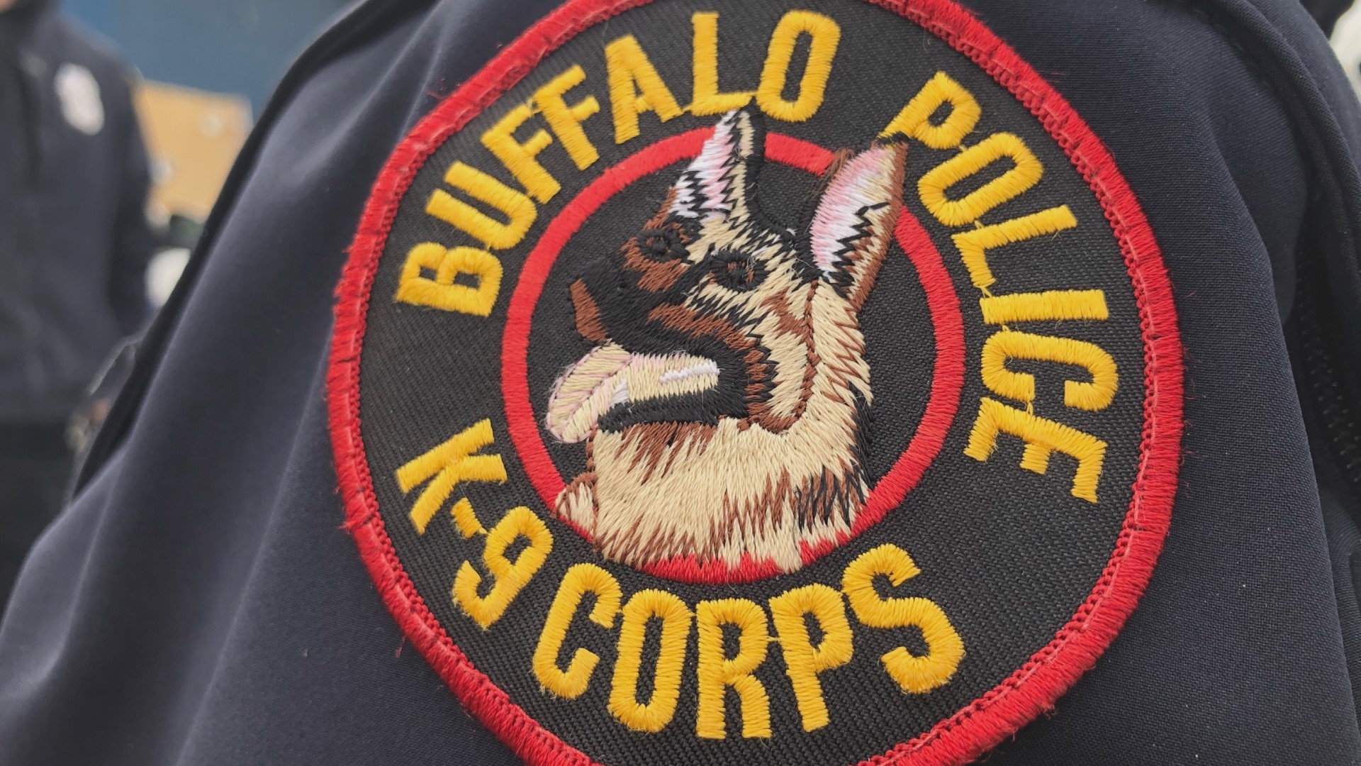 City Creatures Animal Hospital is bringing back the friendly competition between the Buffalo Police and Buffalo Fire Departments on the ice at LECOM Harborcenter.