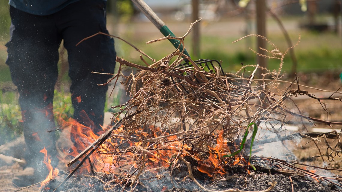 NYS DEC announces brush burning ban begins March 16