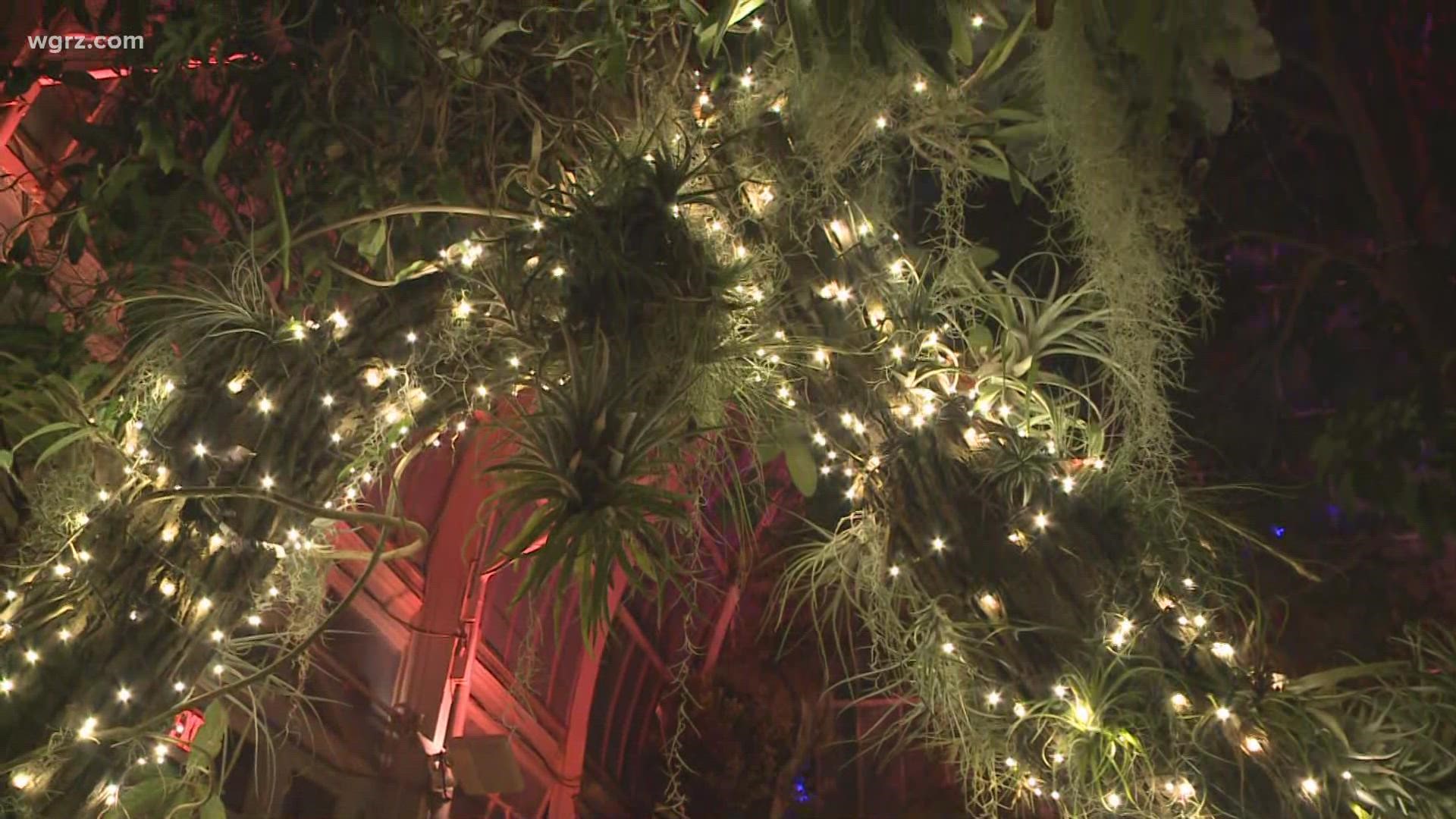 Thousands of exotic plants will be illuminated for this special exhibit throughout the month of October.