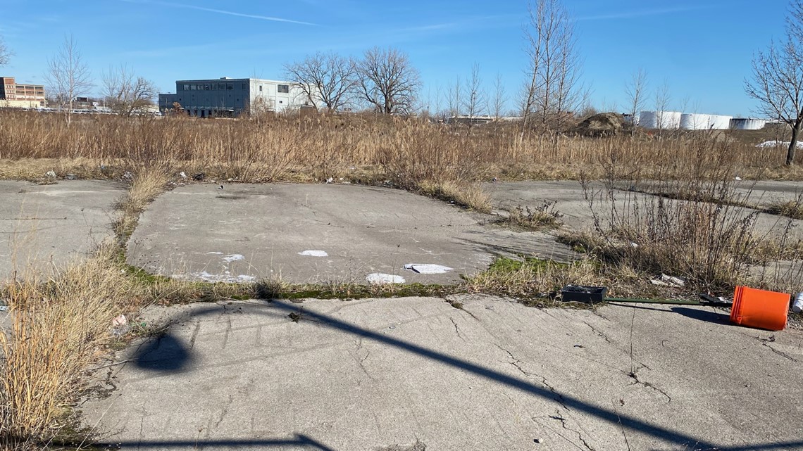 Buffalo film studio plans put on hold - Vimarsana News