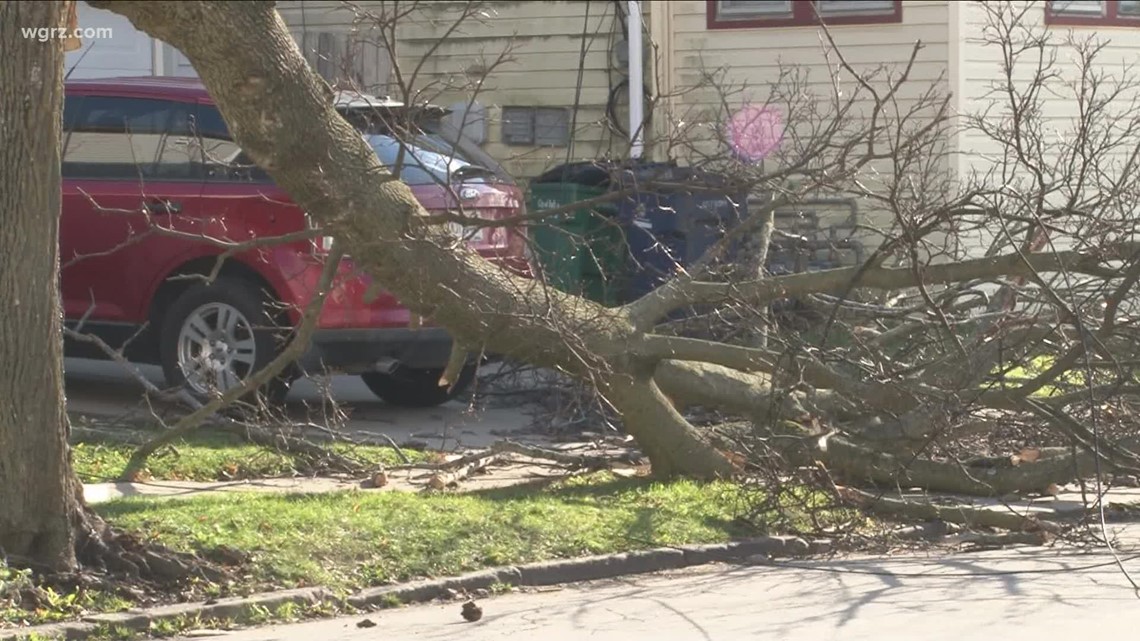 Storm cleanup continues across Western New York | wgrz.com