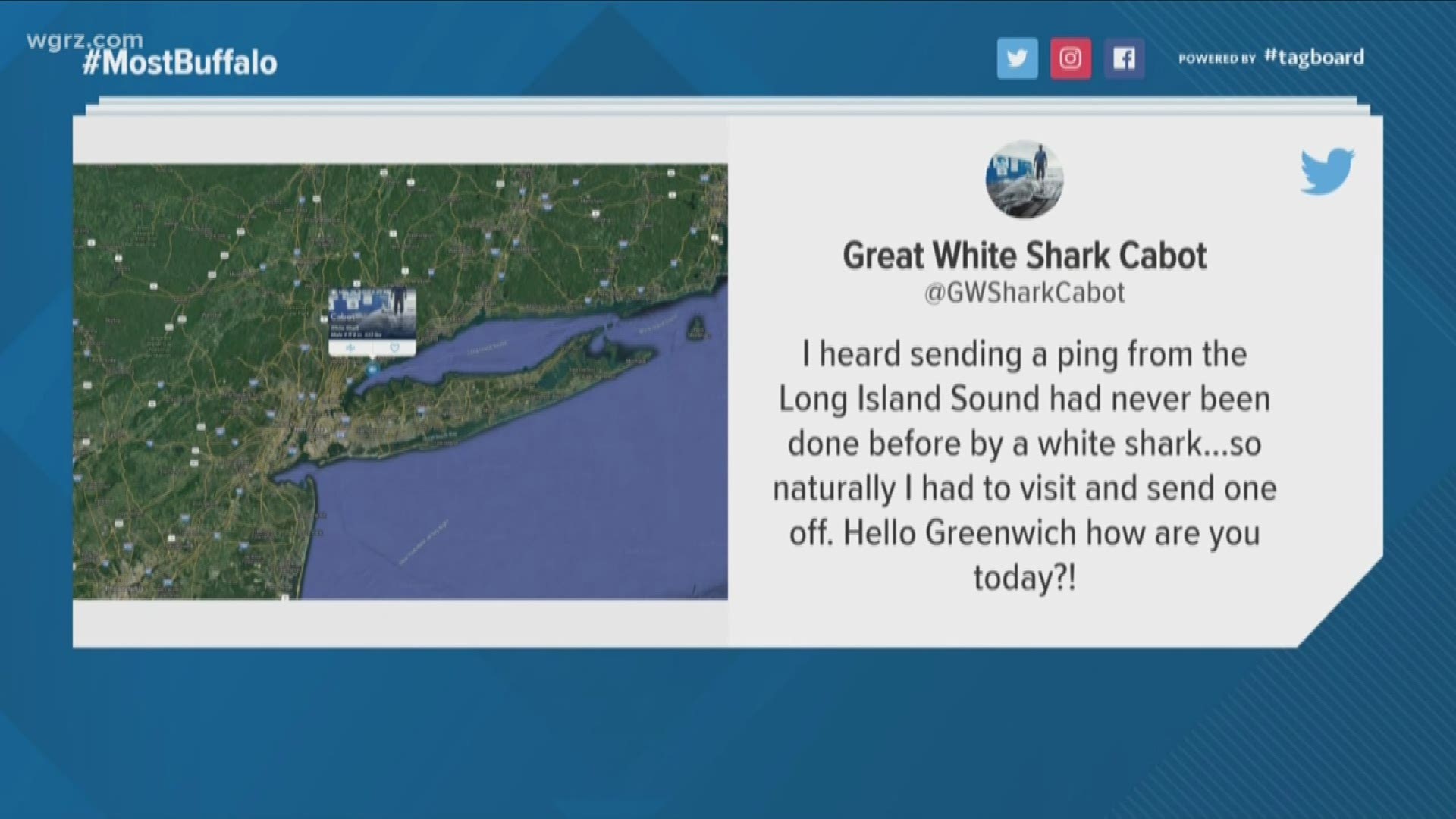Great White Tracked In Long Island Sound