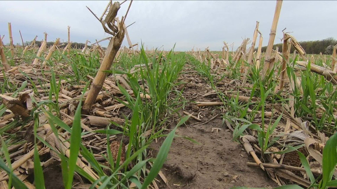 Inflation, Supply Chain Affect WNY Farmers