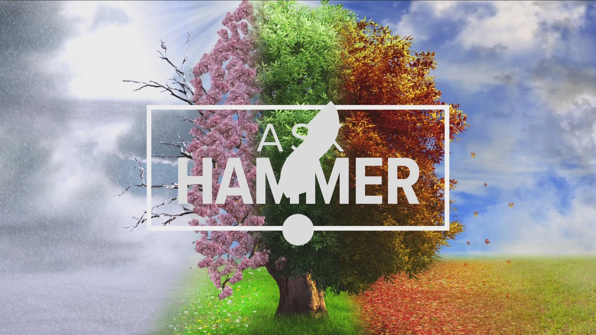 Severe weather is on the way and today we're turning to an expert with questions you may have "Ask Hammer" is Storm Team 2's Chief Meteorologist Patrick Hammer