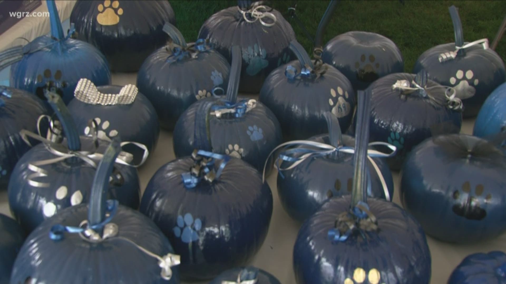 Pumpkins were sold today in Memory of Officer 
 Craig Lehner.