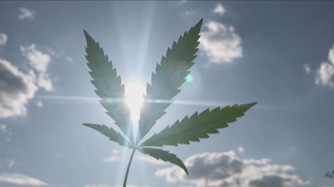 Cannabis Advisory Board asking for more feedback about proposed policies - Vimarsana News