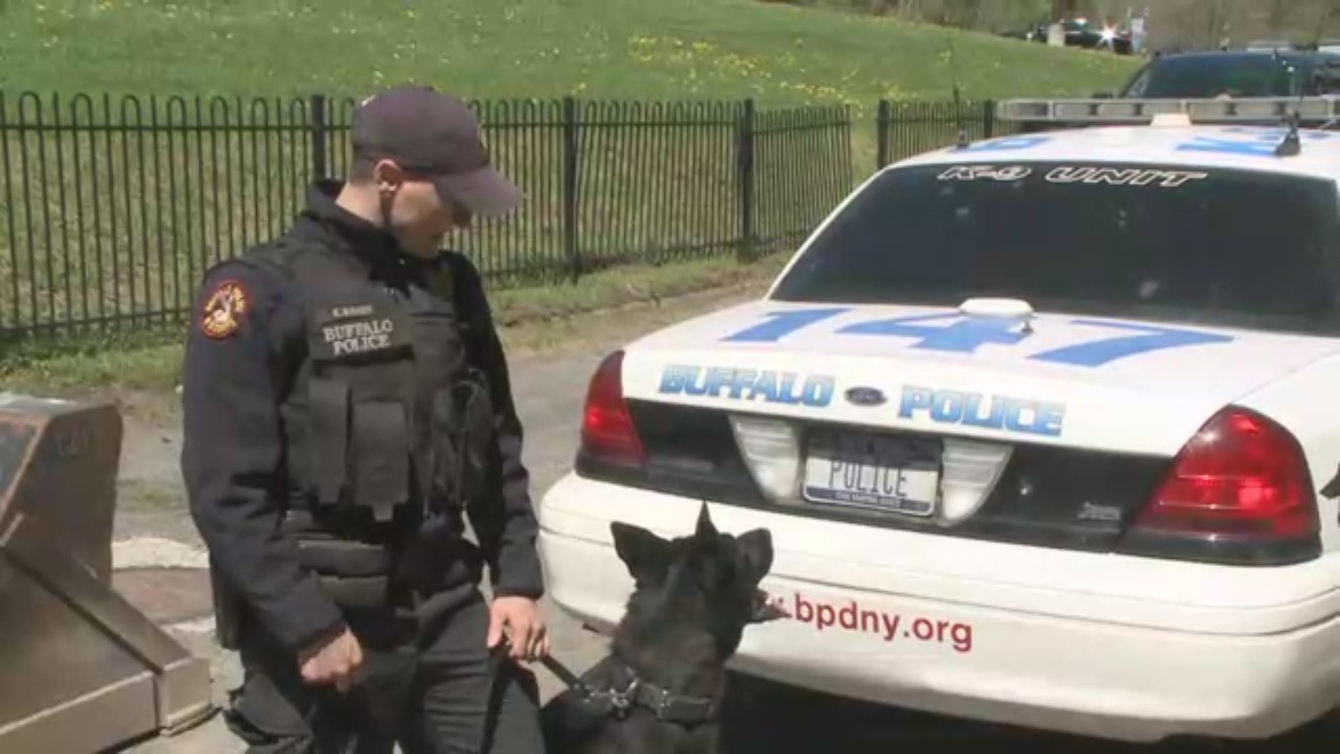 Thanks to the funds from the "Ruffalo Stampede" at the Buffalo Marathon, the Buffalo Police Department has a new K9 officer.  Go behind the scenes to see what it takes to train a dog for the Bomb Squad.