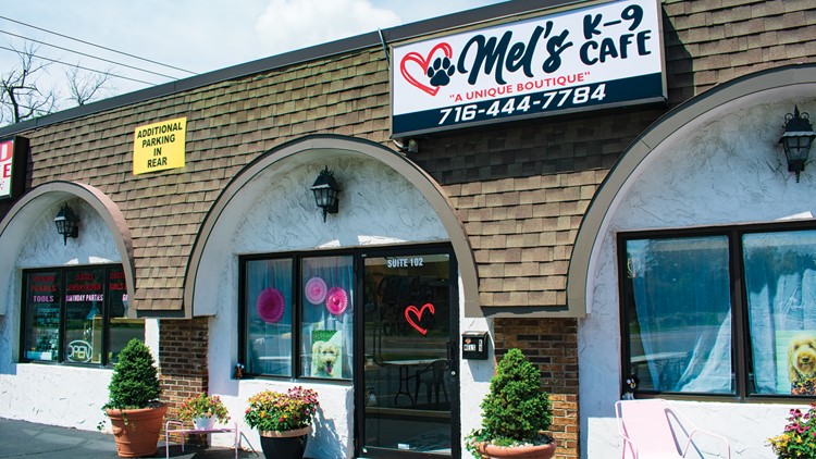 Mel s K 9 Cafe opens with range of offerings for people and pets