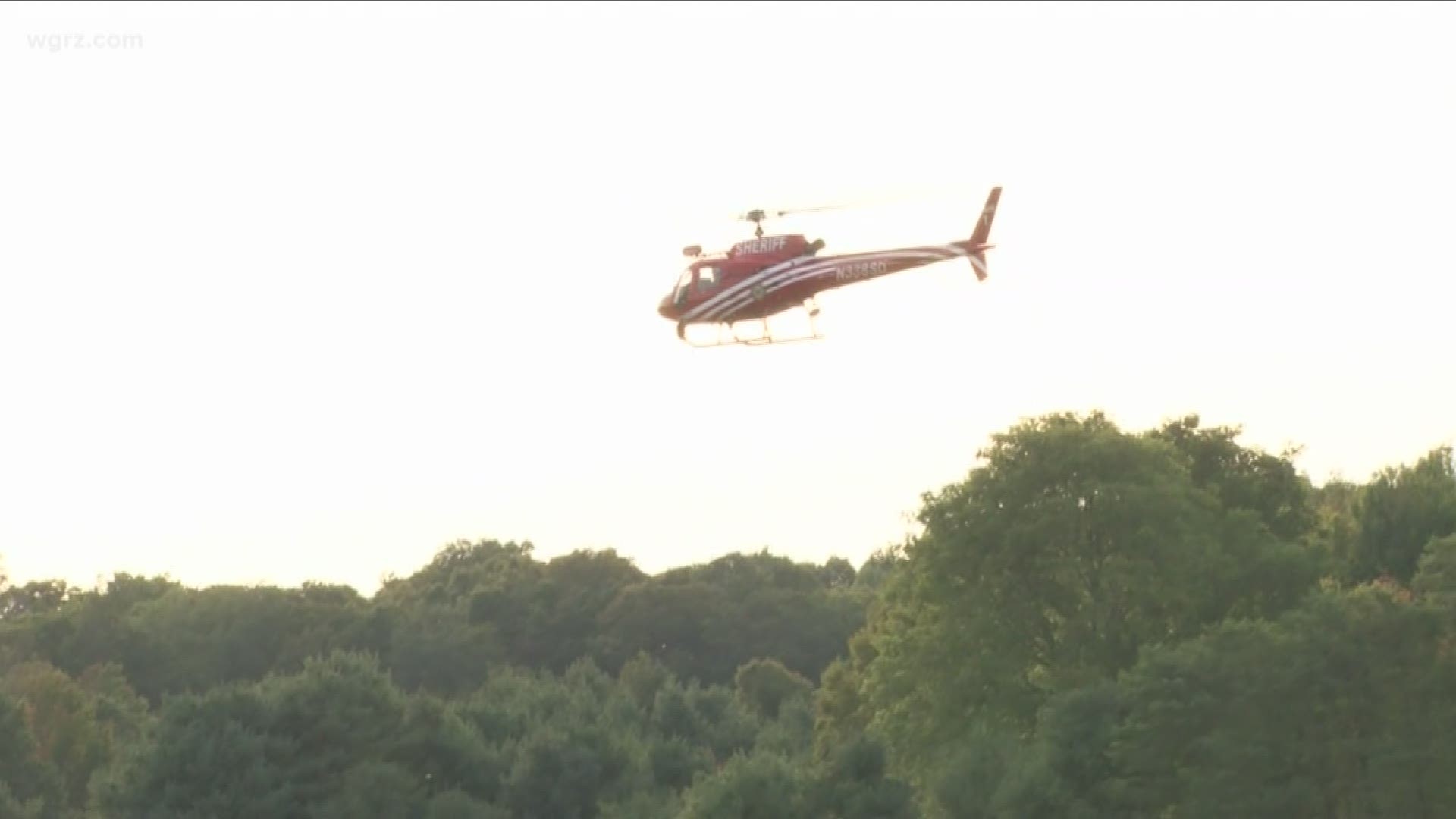 2 people and a dog are recovering after they were all rescued off a cliff at Zoar valley.