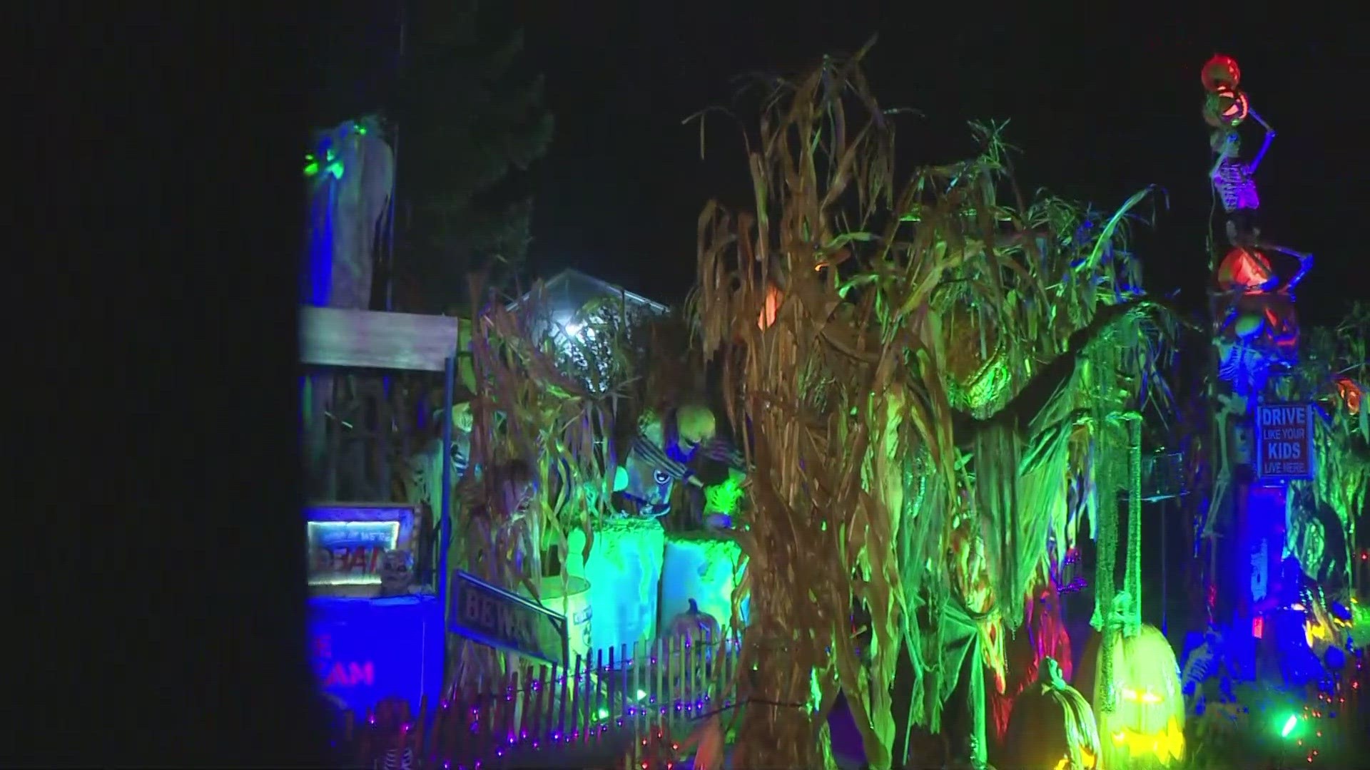 Skeletons for St. Jude haunted house in Lockport